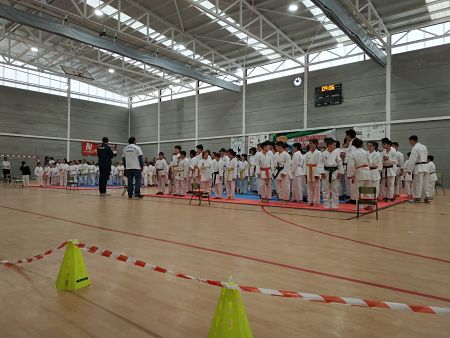 Cúllar Vega ha celebrado su cuarta campeonato de Karate (AYTO. CÚLLAR VEGA)