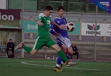 El Atarfe estará la próxima temporada en División de Honor (VICENTE CARVAL/ARCHIVO)