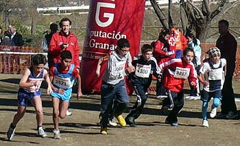 Salida de la prueba celebrada en Guadix el pasado sábado (GRJ)