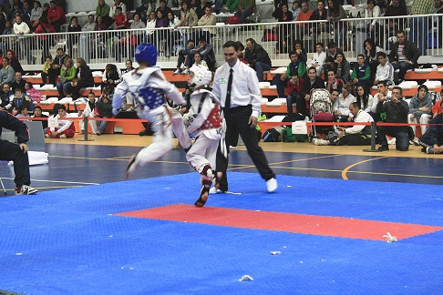 Buenos resultados obtenidos en el Campeonato de Andalucía