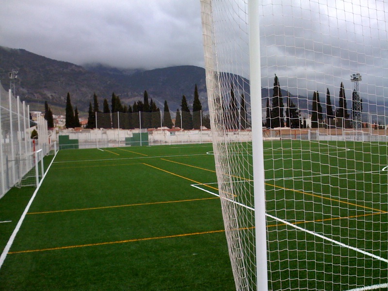 Aspecto del nuevo campo del Padul (GRJ)