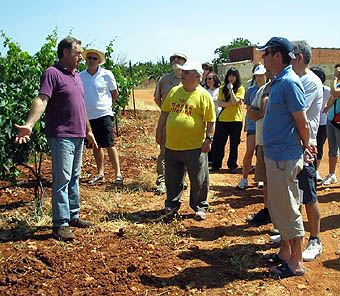 Los Trotanoches durante su visita a los viñedos (GRJ)