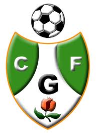 El Gabia CF consumó el descenso