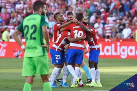 Los jugadores del Granada celebran el gol anotado por Antonio Puertas (GRJ) Los jugadores del Granada celebran el gol anotado por Antonio Puertas (GRJ)
