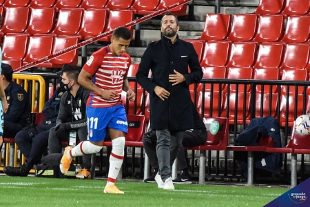 Diego Martínez y Machís, durante el encuentro frente al Levante (JOSÉ M. BALDOMERO)