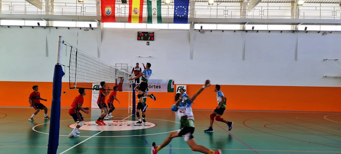 Imagen de un partido (VOLEIBOL GRANADA)