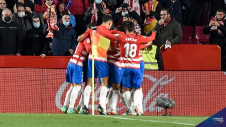 Los jugadores del Granada celebran el primer tanto de Puertas ante el Alavés (JOSÉ M. BALDOMERO) Los jugadores del Granada celebran el primer tanto de Puertas ante el Alavés (JOSÉ M. BALDOMERO)