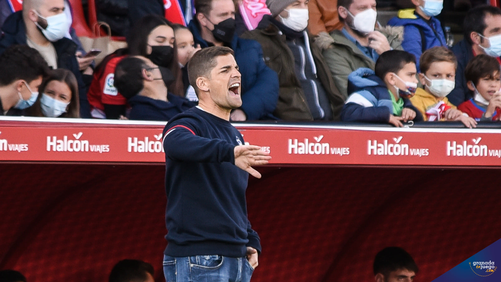 Robert Moreno, durante el Granada - Mallorca en el `Nuevo Los Cármenes` (JOSÉ M. BALDOMERO)