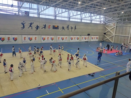 exhibición de taekwondo celebrada en Vegas del Genil (AYTO. VEGAS DEL GENIL) exhibición de taekwondo celebrada en Vegas del Genil (AYTO. VEGAS DEL GENIL)