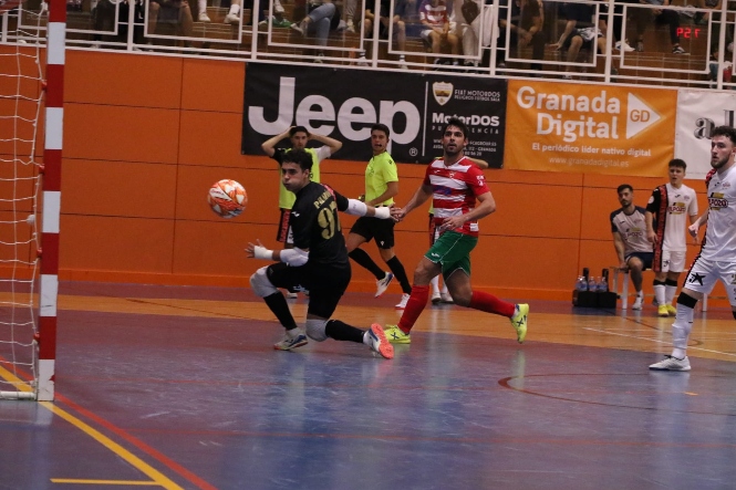 El Sima Granada venció a Sporting Almería (SIMA GRANADA / ARCHIVO) 