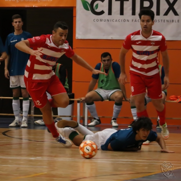 El Sima Granada perdió ante Zambú (SIMA GRANADA) El Sima Granada perdió ante Zambú (SIMA GRANADA)