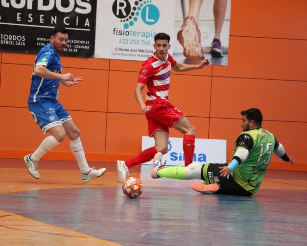 El Sima Granada buscará el triunfo en su último partido como local de la temporada (SIMA GRANADA) El Sima Granada buscará el triunfo en su último partido como local de la temporada (SIMA GRANADA)