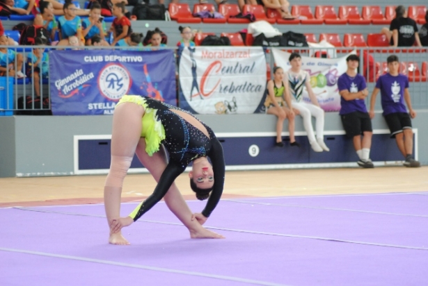 Imagen de una gimnasta (STEWED) Imagen de una gimnasta (STEWED)