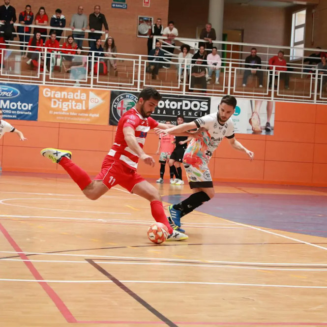 El Sima Granada volverá a la competición el 16 de septiembre (SIMA GRANADA)