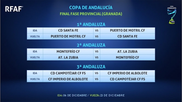 Finales de la Copa Provincial (RFAF) Finales de la Copa Provincial (RFAF)