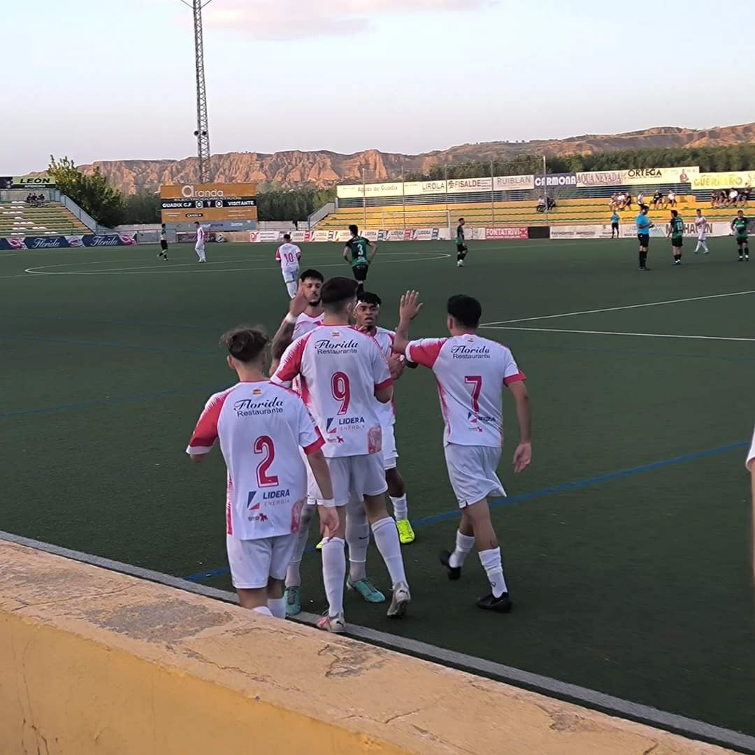 El Guadix CF celebra su gol (GUADIX CF)