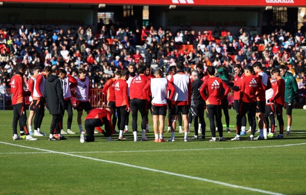 La plantilla del Granada ha perdido valor en los últimos meses (J. AZCOYTIA) La plantilla del Granada ha perdido valor en los últimos meses (J. AZCOYTIA)