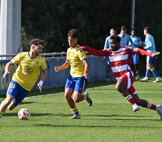 El Recre consumó su descenso (GRANADA CF) El Recre consumó su descenso (GRANADA CF)