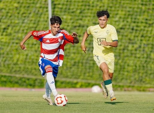 El Recreativo arranca su pretemporada (GRANADA CF) El Recreativo arranca su pretemporada (GRANADA CF)
