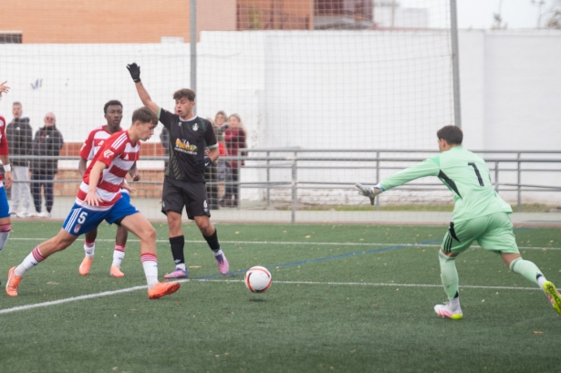 El Granada C derrotó al FC Gabias y se ha proclamado campeón de invierno (GPMEDIA) El Granada C derrotó al FC Gabias y se ha proclamado campeón de invierno (GPMEDIA)