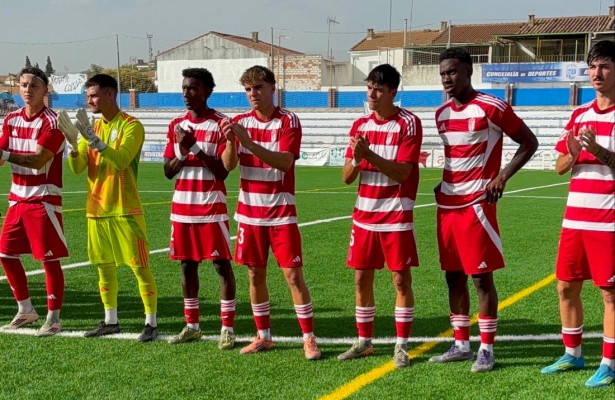 Los rojiblancos logran el ascenso (GRANADA CF) Los rojiblancos logran el ascenso (GRANADA CF)