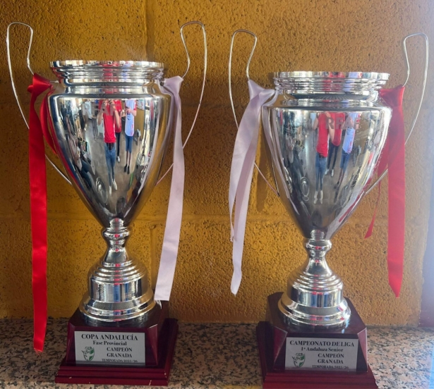 La Copa Provincia estrena formato La Copa Provincia estrena formato