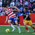 El Granada no pudo pasar del empate la temporada pasada ante el Andorra (J.M. BALDOMERO)