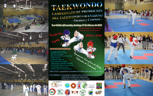 Varios instantes del campeonato