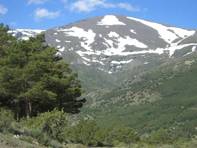 Vistas del Picón de Jérez 