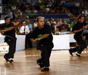 El kung-fu granadino demuestra una vez más su potencial 