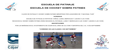 Cartel de las escuelas de Hockey 