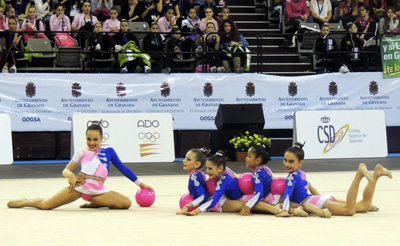 Un momento de la segunda jornada en el Palacio de Deportes de Granada (GRJ)
