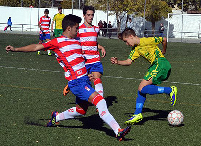 Granada contará con tres representantes en la categoría (LÁZARO) Granada contará con tres representantes en la categoría (LÁZARO)