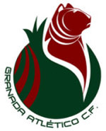 Granada se queda sin representantes en División de Honor tras el descenso del Granada Atlético Granada se queda sin representantes en División de Honor tras el descenso del Granada Atlético
