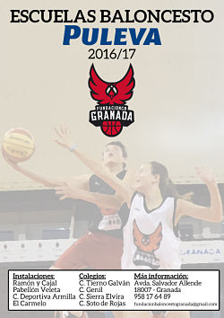 Cartel de las escuelas de baloncesto 