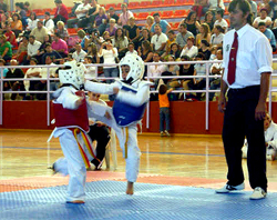 Dos pequeños durante un combate Dos pequeños durante un combate