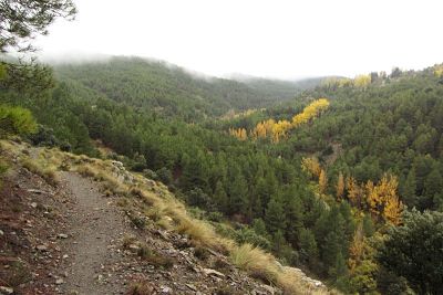 Uno de los paisajes de la ruta 
