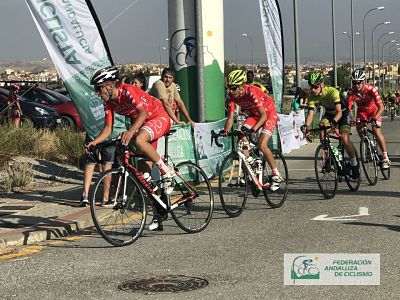 Participantes en el circuito 