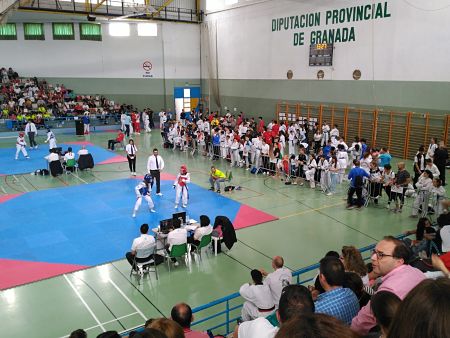 Diputación celebró su tradicional Trofeo Corpus de taekwondo Diputación celebró su tradicional Trofeo Corpus de taekwondo