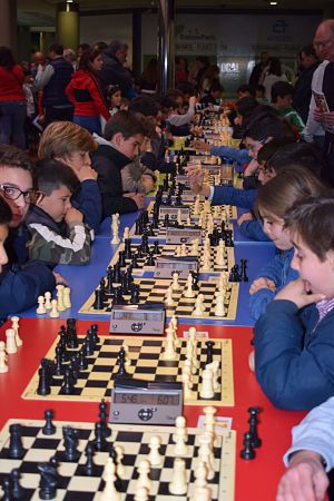 Gran participación en el torneo escolar de ajedrez (ANA FERNÁNDEZ MORENTE) 