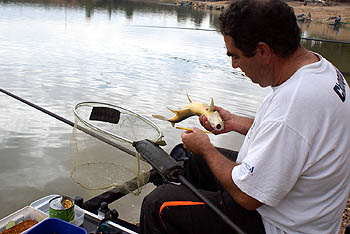 Uno de los pescadores con su captura en el desarrollo del certamen Uno de los pescadores con su captura en el desarrollo del certamen