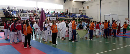 Panorámica del aspecto que presentaba el Pabellón de Alhama de Granada (GRJ) Panorámica del aspecto que presentaba el Pabellón de Alhama de Granada (GRJ)